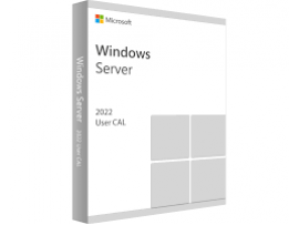 Microsoft Windows Server 2022 - 1 User CAL